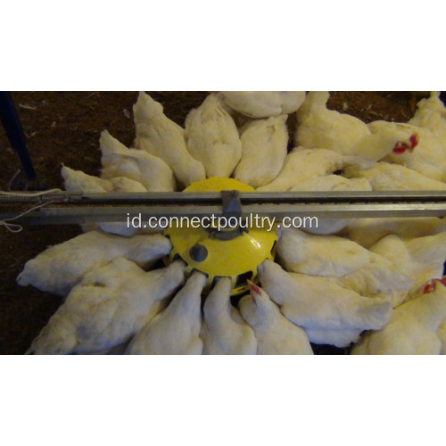 Sistem Breeder Pan Feeding